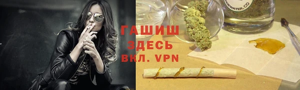 прущие грибы Переславль-Залесский