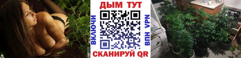 МАРИХУАНА ГИДРОПОН  цена   Терек 